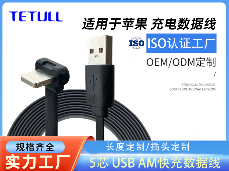 Lightning苹果 T头 TO USB AM 快充线