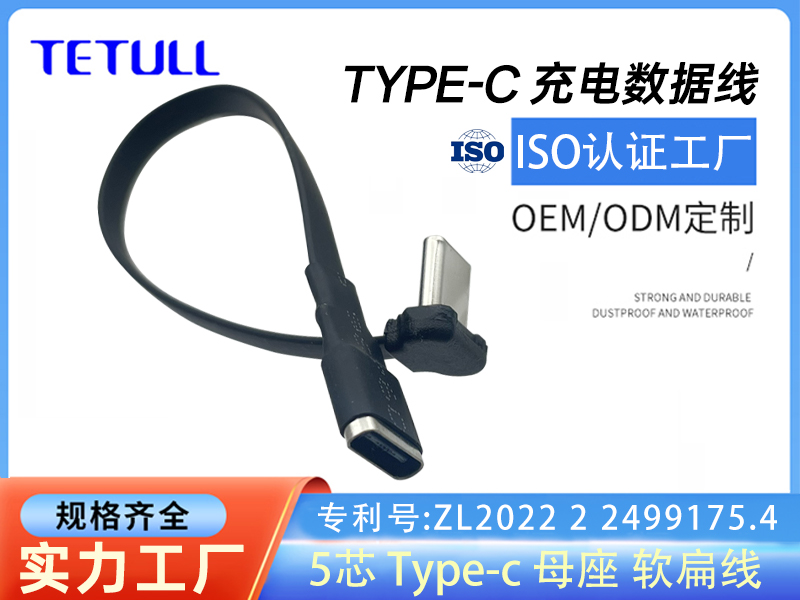 <i><strong>TYPE-C T头 5芯  Type-C直母头 支持OTG功能</strong></i>